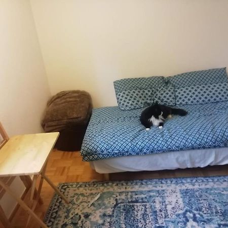 Single Bedroom In A Cozy Maisonette - Bushey Eksteriør billede